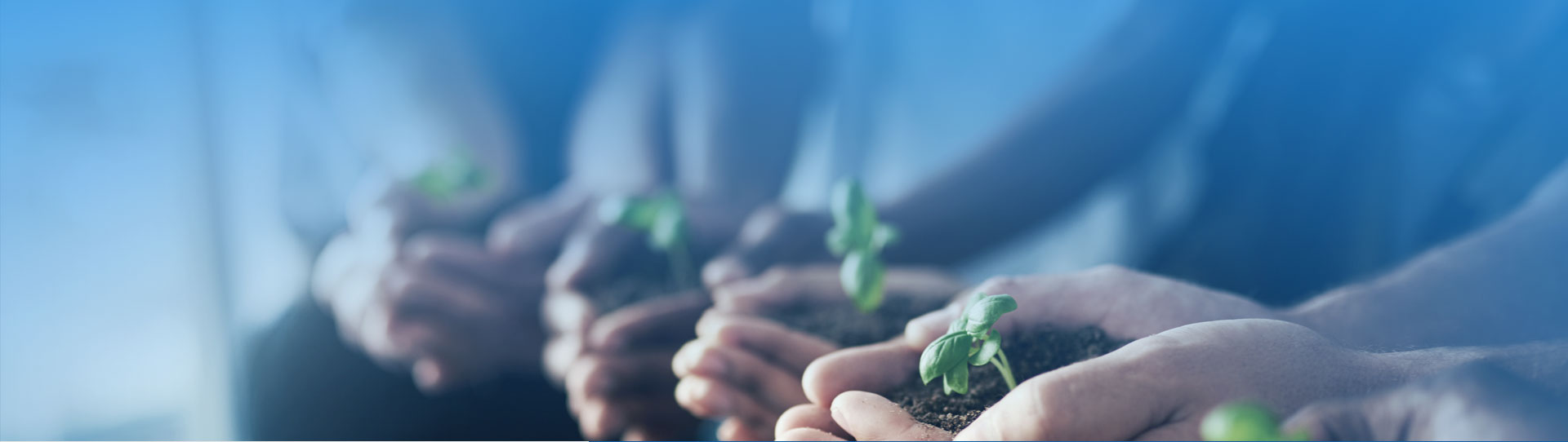 平博·(pinnacle)官方网站